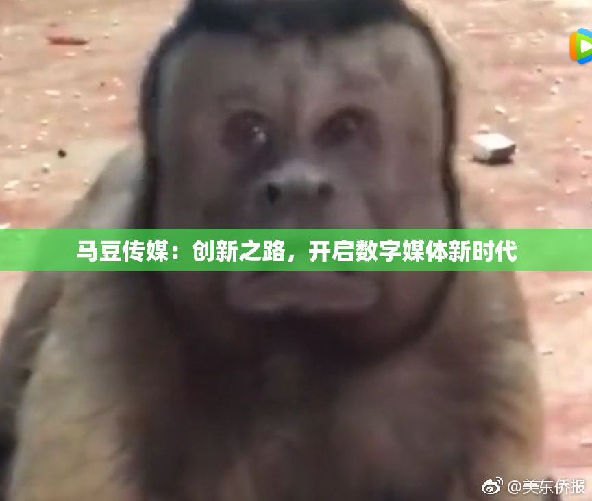 马豆传媒：创新之路，开启数字媒体新时代