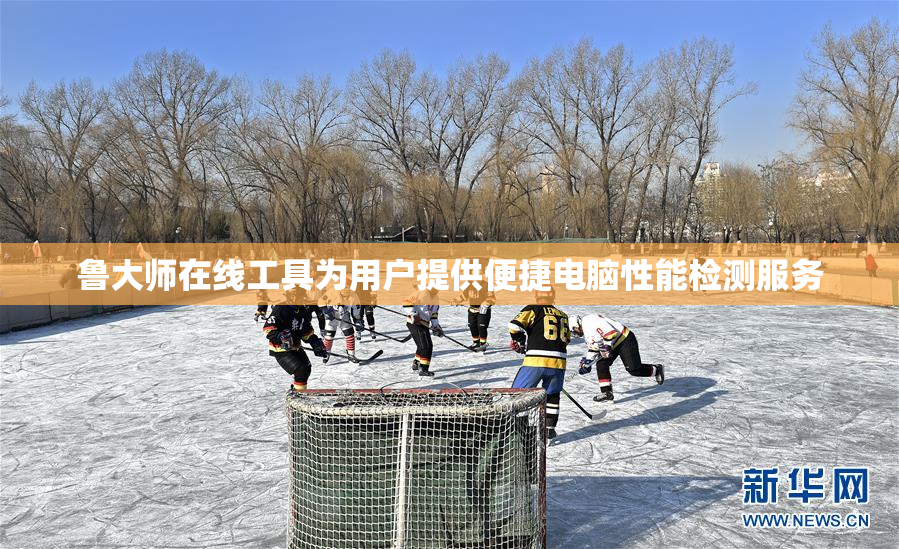 鲁大师在线工具为用户提供便捷电脑性能检测服务