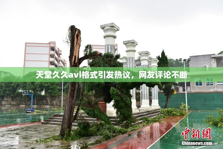 天堂久久avi格式引发热议，网友评论不断