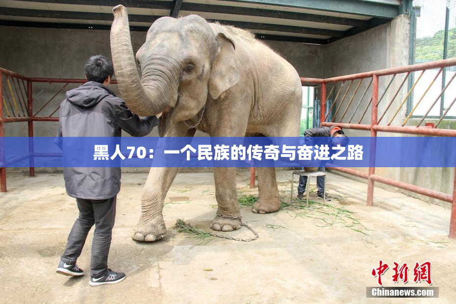 黑人70：一个民族的传奇与奋进之路