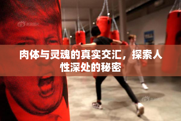 肉体与灵魂的真实交汇，探索人性深处的秘密