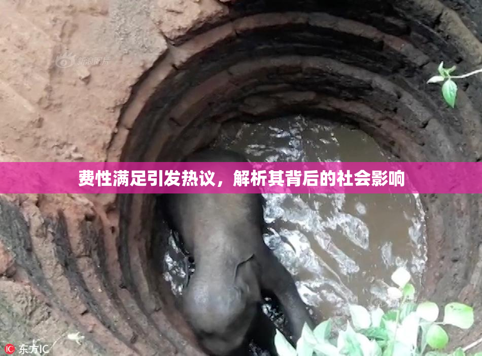 费性满足引发热议，解析其背后的社会影响