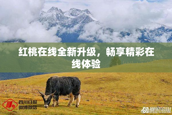 红桃在线全新升级，畅享精彩在线体验