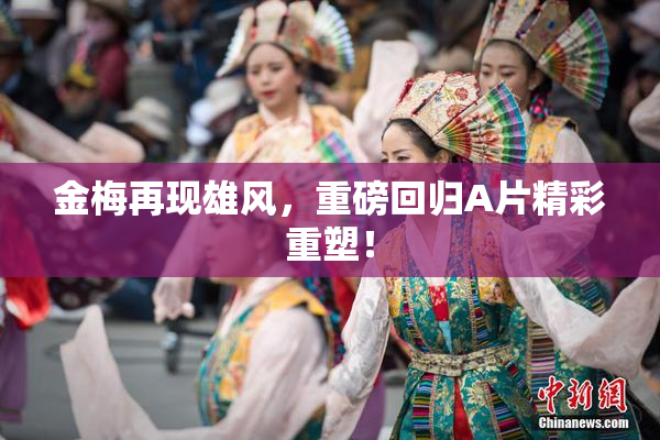 金梅再现雄风，重磅回归A片精彩重塑！