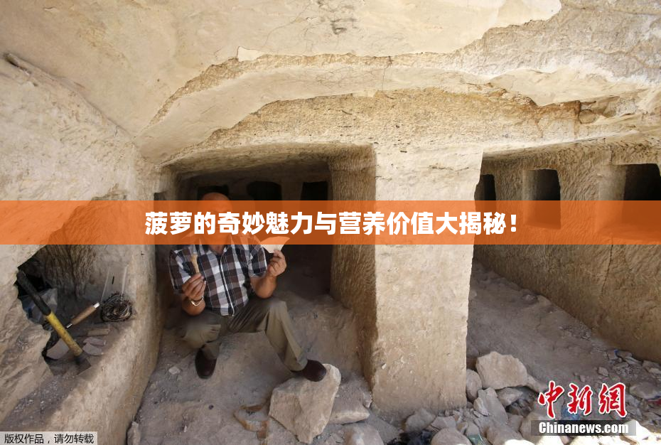 菠萝的奇妙魅力与营养价值大揭秘！