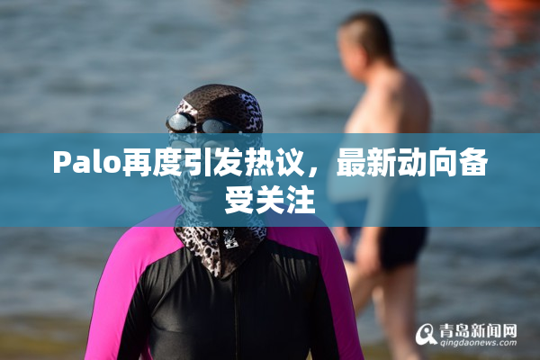 Palo再度引发热议，最新动向备受关注