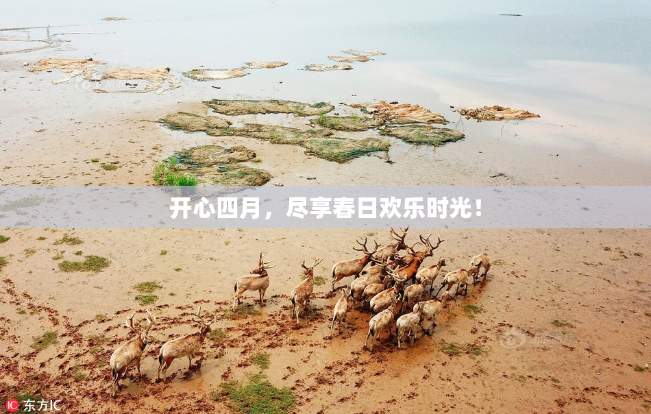 开心四月，尽享春日欢乐时光！
