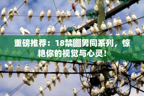重磅推荐：18禁▓男同系列，惊艳你的视觉与心灵！