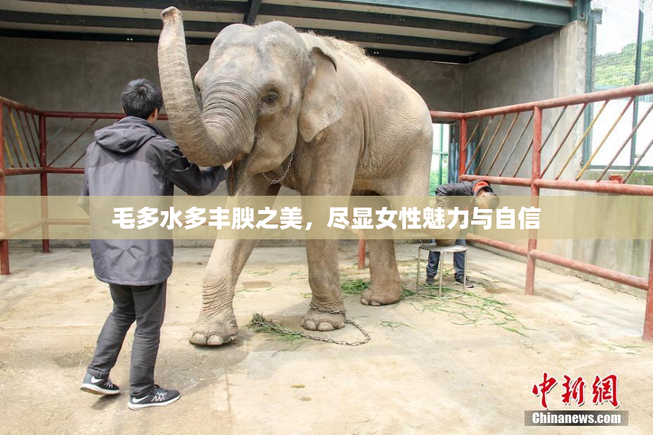 毛多水多丰腴之美，尽显女性魅力与自信