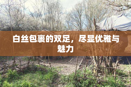 白丝包裹的双足，尽显优雅与魅力