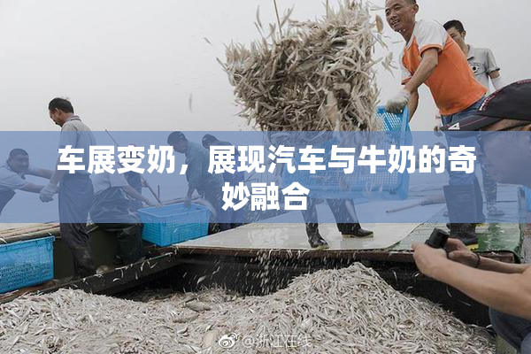 车展变奶，展现汽车与牛奶的奇妙融合