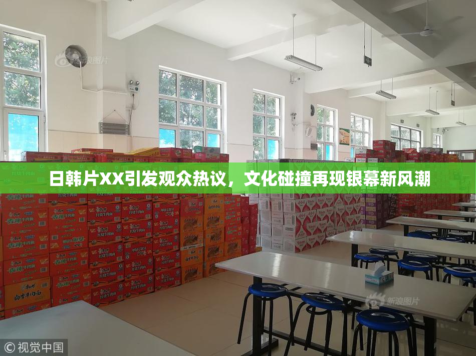 日韩片XX引发观众热议，文化碰撞再现银幕新风潮