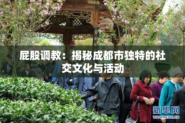 屁股调教：揭秘成都市独特的社交文化与活动