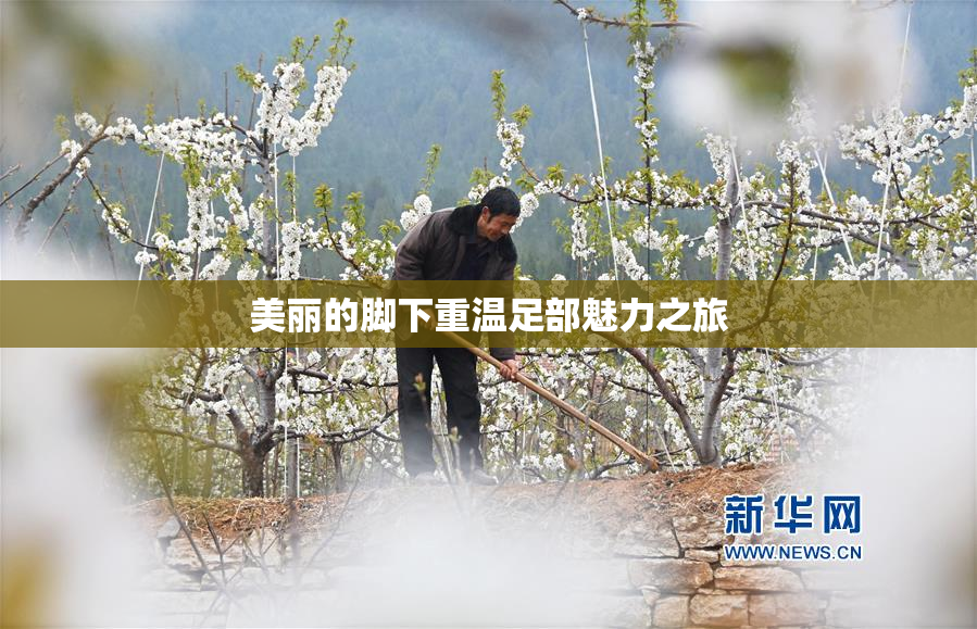 美丽的脚下重温足部魅力之旅