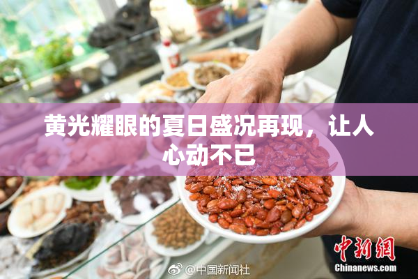 黄光耀眼的夏日盛况再现，让人心动不已
