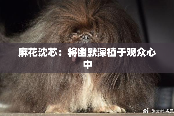 麻花沈芯：将幽默深植于观众心中