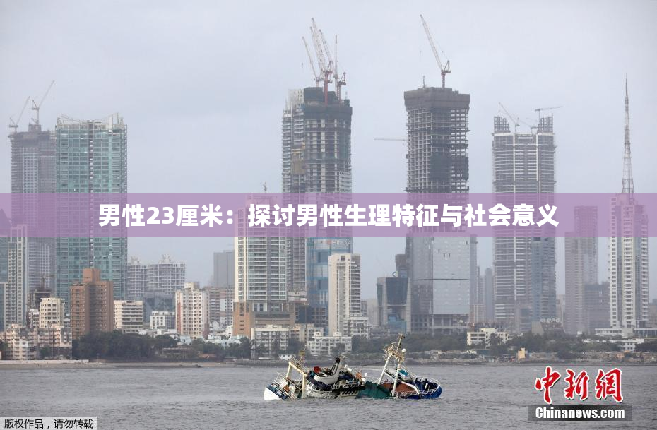 男性23厘米：探讨男性生理特征与社会意义