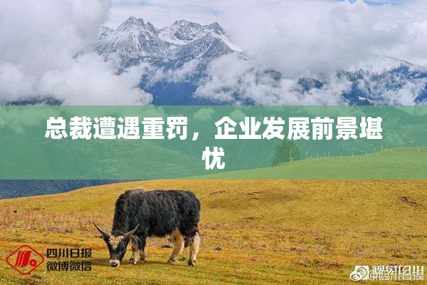 总裁遭遇重罚，企业发展前景堪忧