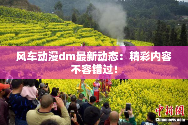 风车动漫dm最新动态：精彩内容不容错过！