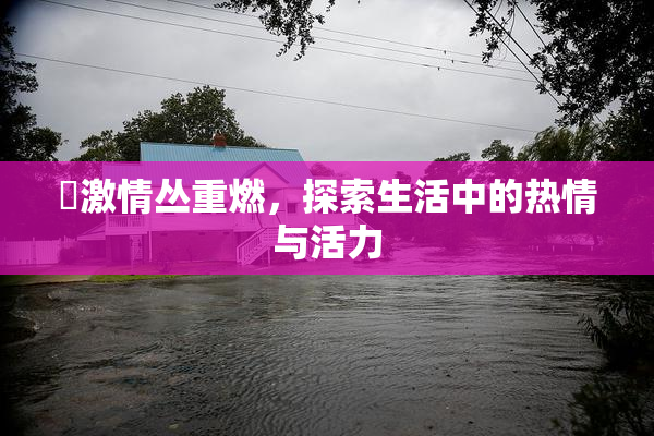 巜激情丛重燃，探索生活中的热情与活力