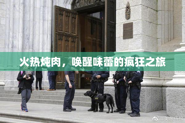 火热炖肉，唤醒味蕾的疯狂之旅
