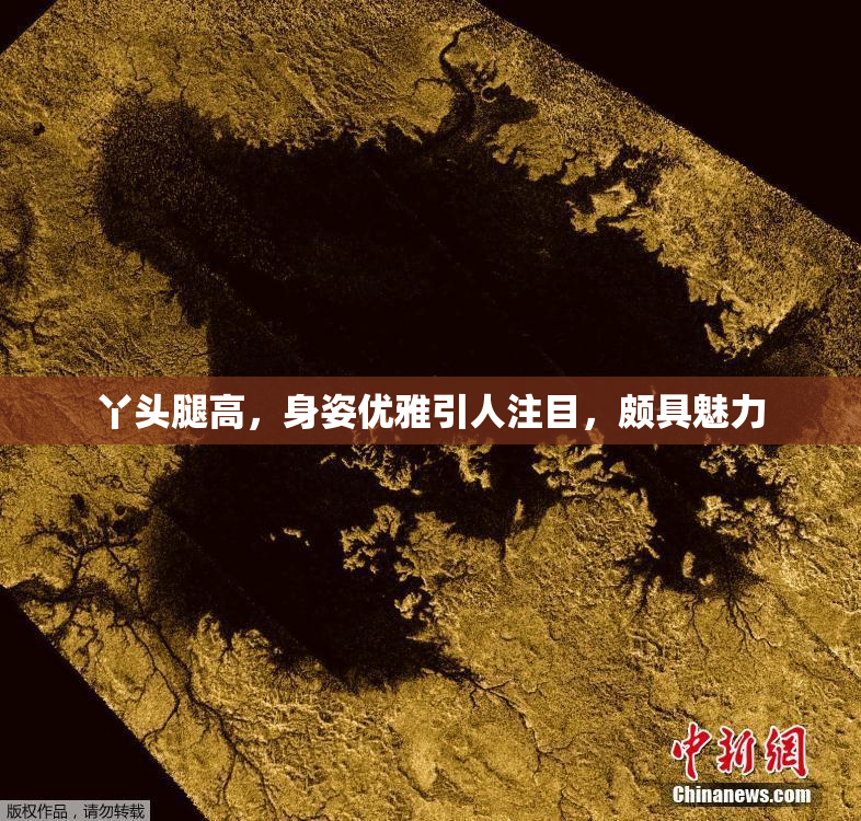 丫头腿高，身姿优雅引人注目，颇具魅力