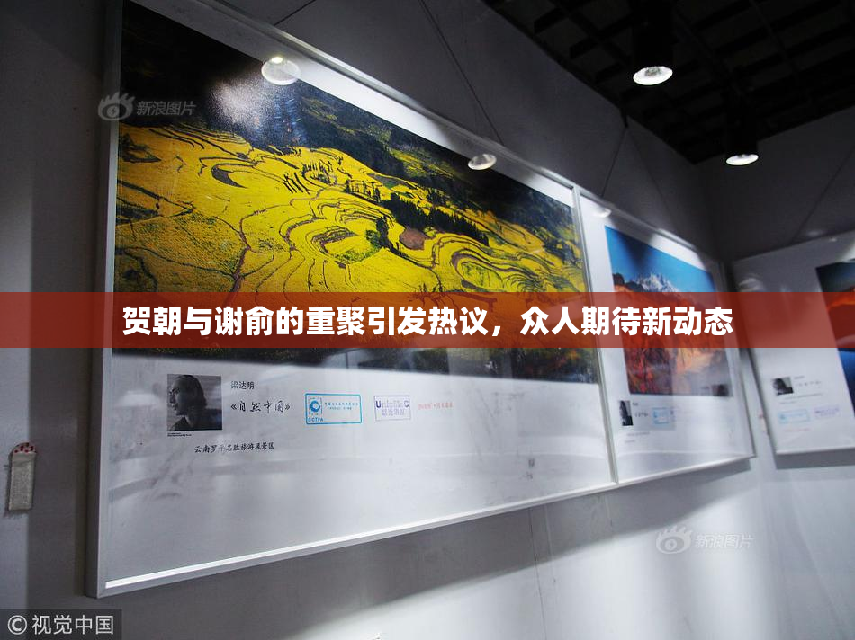 贺朝与谢俞的重聚引发热议，众人期待新动态