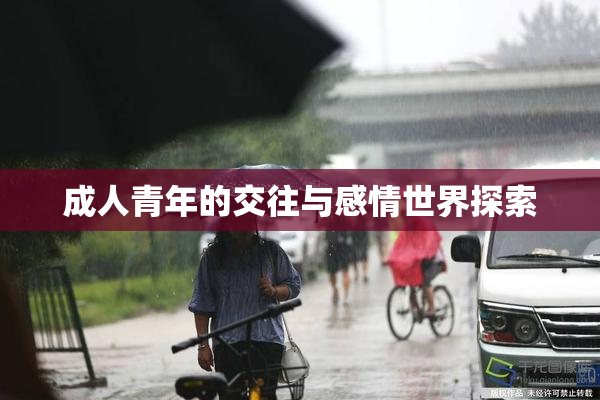 成人青年的交往与感情世界探索