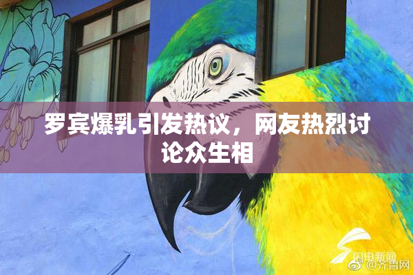 罗宾爆乳引发热议，网友热烈讨论众生相