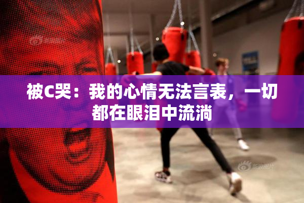 被C哭：我的心情无法言表，一切都在眼泪中流淌