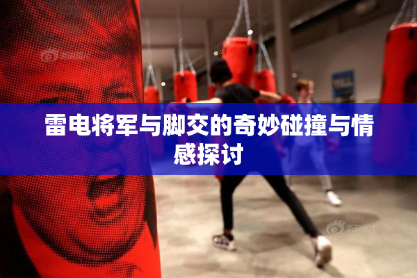 雷电将军与脚交的奇妙碰撞与情感探讨
