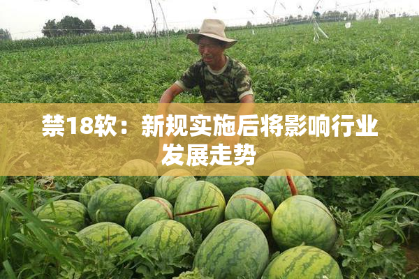 禁18软：新规实施后将影响行业发展走势