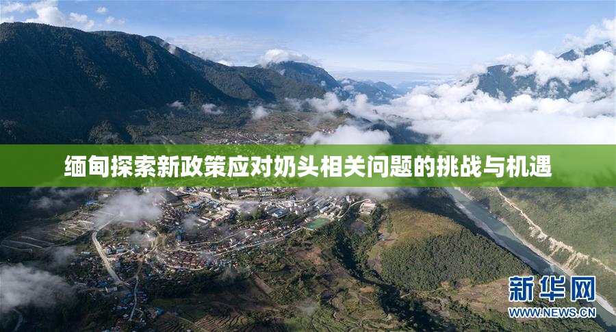 缅甸探索新政策应对奶头相关问题的挑战与机遇