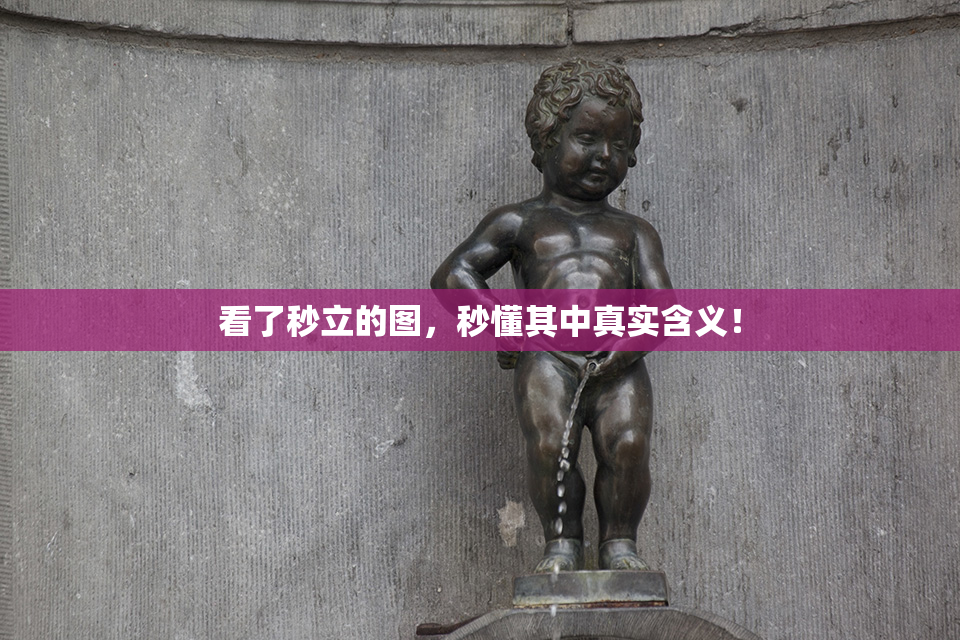 看了秒立的图，秒懂其中真实含义！