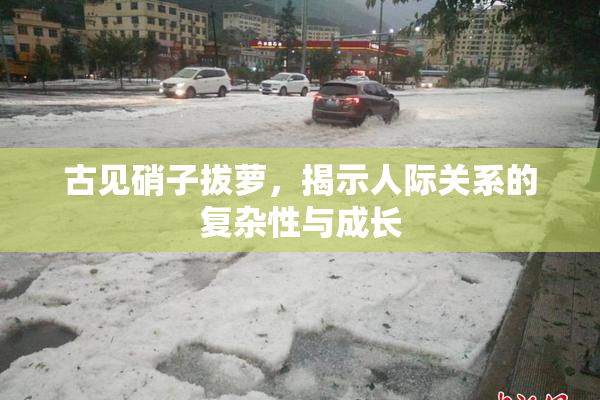 古见硝子拔萝，揭示人际关系的复杂性与成长