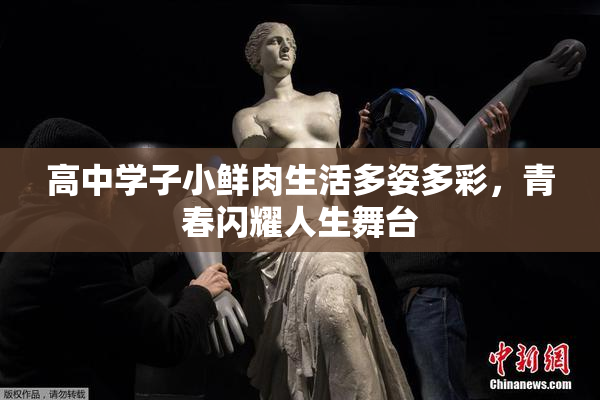 高中学子小鲜肉生活多姿多彩，青春闪耀人生舞台
