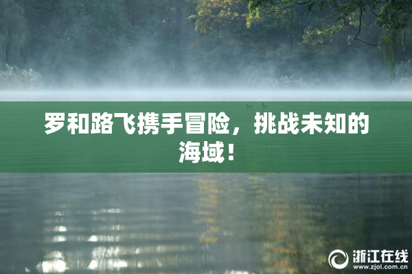 罗和路飞携手冒险，挑战未知的海域！