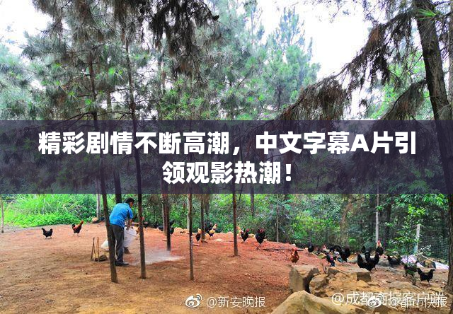 精彩剧情不断高潮，中文字幕A片引领观影热潮！