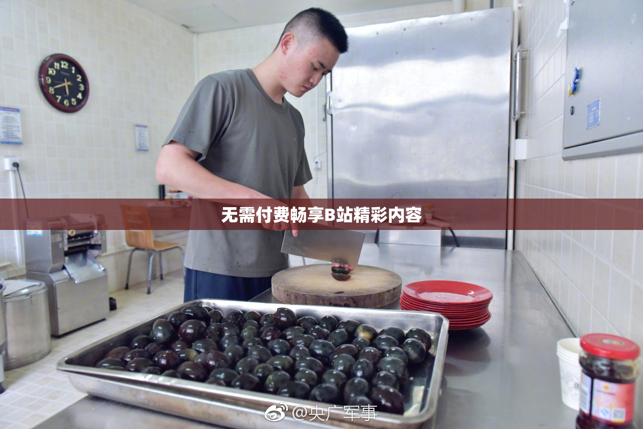 无需付费畅享B站精彩内容
