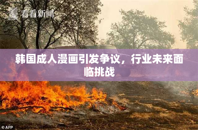 韩国成人漫画引发争议，行业未来面临挑战