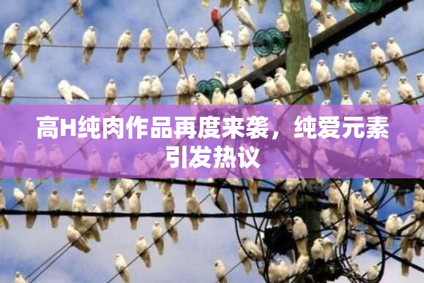 高H纯肉作品再度来袭，纯爱元素引发热议