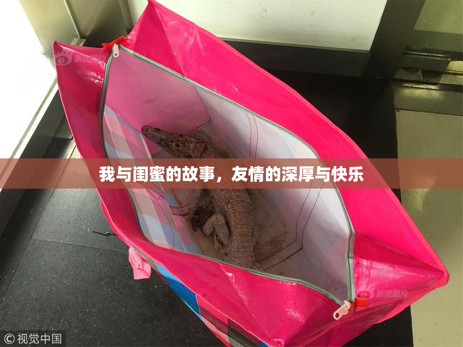 我与闺蜜的故事，友情的深厚与快乐