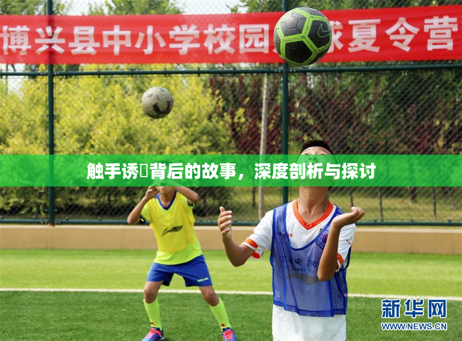 触手诱奷背后的故事，深度剖析与探讨