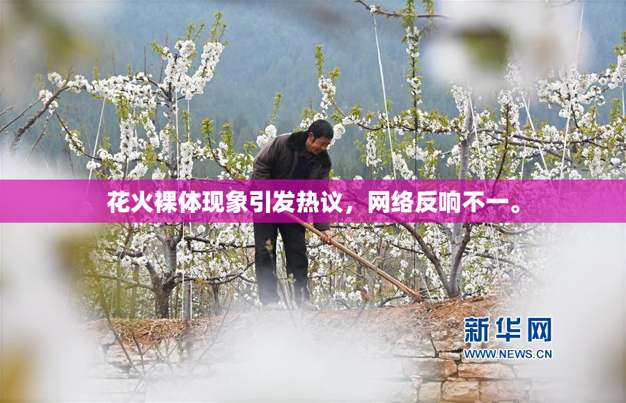 花火裸体现象引发热议，网络反响不一。