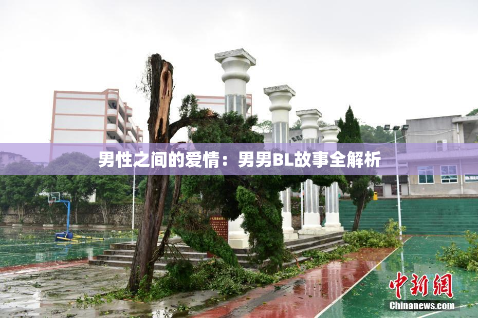 男性之间的爱情：男男BL故事全解析