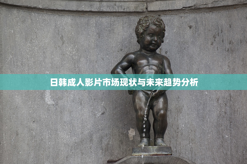 日韩成人影片市场现状与未来趋势分析