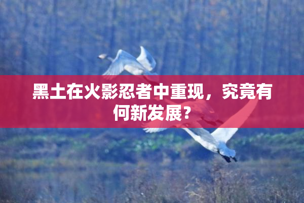 黑土在火影忍者中重现，究竟有何新发展？