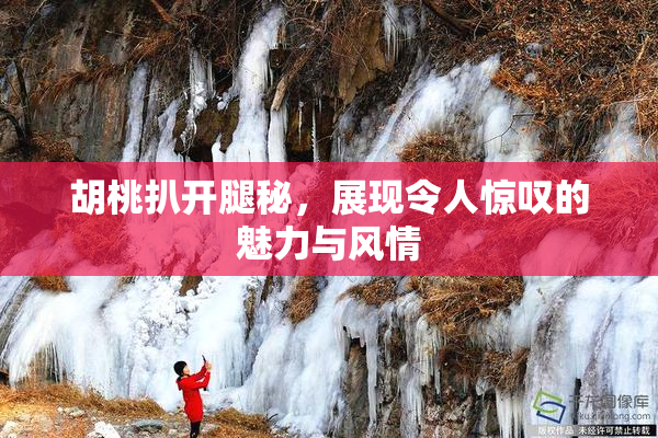 胡桃扒开腿秘，展现令人惊叹的魅力与风情