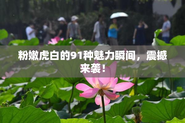 粉嫩虎白的91种魅力瞬间，震撼来袭！