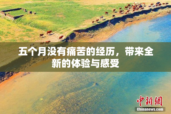 五个月没有痛苦的经历，带来全新的体验与感受
